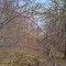 Route 152 Trail