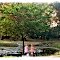 Nana's pond