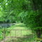 Nahville's pond