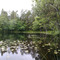 Rudtjärn