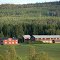 Skortsjö 142, vy från Flärke