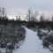 Track in Kalixforsbron