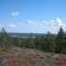 Mickelberget