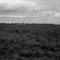 Tolna on the Prairie