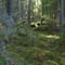 Huldran vid stenen