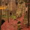 Ruine Roßstein
