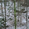 Frühschnee 1