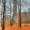 Humbergturm im Herbst