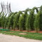 "Willow Church" at Landesgartenschau Kaiserslautern, Germany