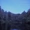Mt Williams Pond