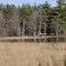 Haunted Lake, Francestown NH