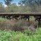 Abba River Railway Bridge