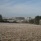 Landschaft um Baumholder