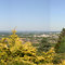Bonn, View from "Heimatblick"