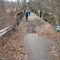 Bridge over Stony Brook