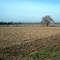 Blick nach Mittelbuchen