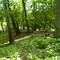 Bodendenkmal alte Wehranlage im Bruchköbler Wald