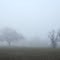 The Fog – Nebel des Grauens