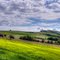 Landschaft der Pfalz