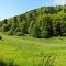 Tal unterhalb Hermersberg