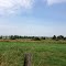 Landschaft