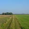 Geestweg. Tussen de Ahlhorner Fischteiche en Sage , 2007-10-15