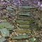 FLT M08 3.8 mi - Rock steps, ~40, near blue bailout trail