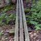 FLT M08 5.1 mi - 12' puncheon, 3 4x4's on 6x6 sills