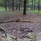 FLT M08 5.81 mi - Bivouac at Bleier Campsite
