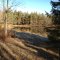 Pond