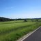 Green fields
