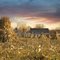 Amish Farm