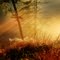 Herbst