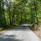 The road to Austin Lake