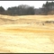 sand harvesting, soon a new lake - Sandernte, bald ein neuer Badesee