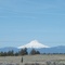 Mt Hood - Looking west from Maupin