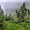 Excursion Inlet - on a mountain by the lake