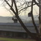 View Over Buckhorn, PA