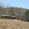 Wanich Covered Bridge
