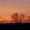 Sunset on Columbia Hill