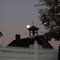 Pleasant Acres Farm Moon