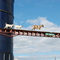 Goats on a Bridge