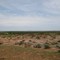 Overlook South of Olustee