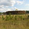 Lumber Yard