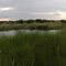 View outside Polokwane