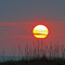 sunset on the beach