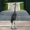 Great Blue Heron (Ardea herodias)