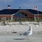 Reddington Beach (St.Pete Beach)