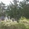 2010 Fellowship, FL, USA - along SR 27