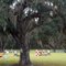 2010 Fellowship, FL, USA - along SR 27